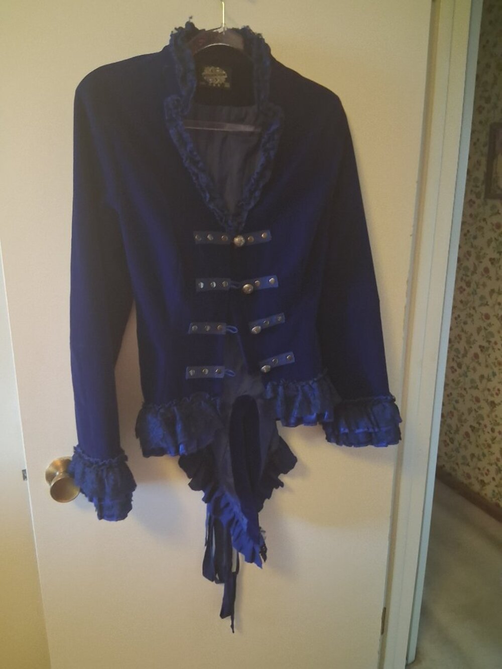 Blue Velvet Victorian Hearts & Roses Coat, 8